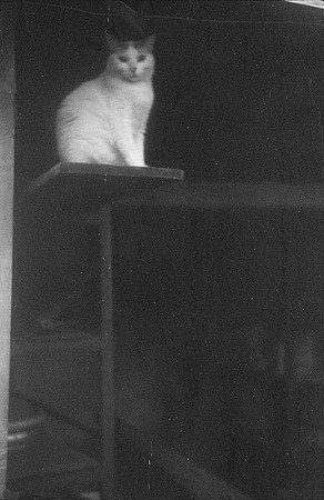 14 René Quijano - Fomapn 400 por Arca Film Lab (Septiembre 2024) - Rollo 0351