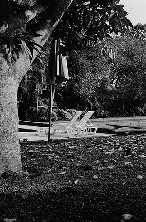 15 Alexander Daum - Ilford XP2 400 por Arca Film Lab (Enero 2025) - Rollo 0633
