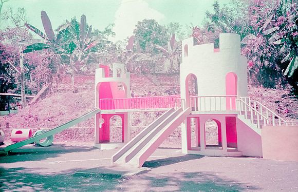 13 Natalia Mendoza - Lomography Purple por Arca Film Lab (Mayo 2025) - Rollo 1019
