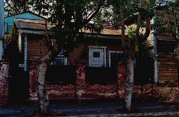 18 Alexander Daum - Kodak Ultramax 400 por Arca Film Lab (Enero 2025) - Rollo 0632