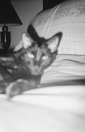 17 Desirée Argueta - Fujifilm Acros 100 por Arca Film Lab (Enero 2025) - Rollo 0571