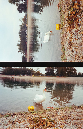 08 Ernestina Ávila - Kodak Gold 200 por Arca Film Lab (Septiembre 2024) - Rollo 0326