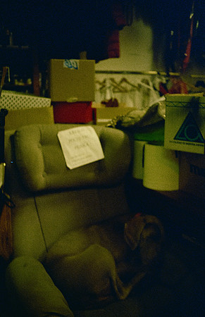 29 María Olga Samperio - Kodacolor 200 por Arca Film Lab (Enero 2025) - Rollo 0678
