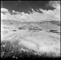 11 Javier Anleu - Aphivot 720nm Infrared por Arca Film Lab (Septiembre 2026) - Rollo 2291
