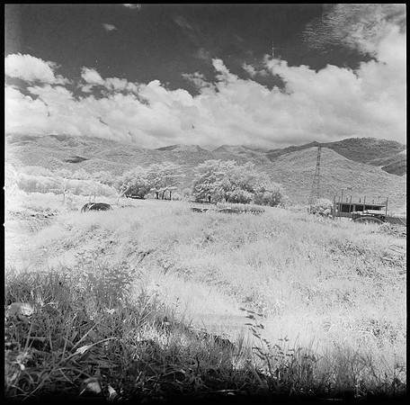 11 Javier Anleu - Aphivot 720nm Infrared por Arca Film Lab (Septiembre 2026) - Rollo 2291