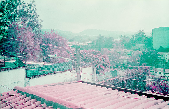08 Natalia Mendoza - Lomography Purple por Arca Film Lab (Mayo 2025) - Rollo 1019