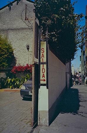 15 Mia Yun - Lomography 400 por Arca Film Lab (Febrero 2025) - Rollo 0740