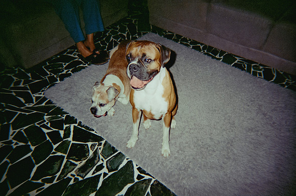 25 Esther Galeas - Cinestill 400D por Arca Film Lab (Enero 2025) - Rollo 0695