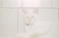 10 Abraham Castillo - Fujifilm 400 por Arca Film Lab (Junio 2025) - Rollo 1118