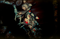 08 Diego Chiu - Candido 200 por Arca Film Lab (Septiembre 2026) - Rollo 2276