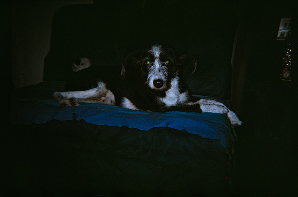 19 Wanda Pérez - Kodak Ultramax 400 - Arca Film Lab (Octubre 2026) - Rollo 2329