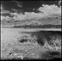 05 Javier Anleu - Aphivot 720nm Infrared por Arca Film Lab (Septiembre 2026) - Rollo 2291
