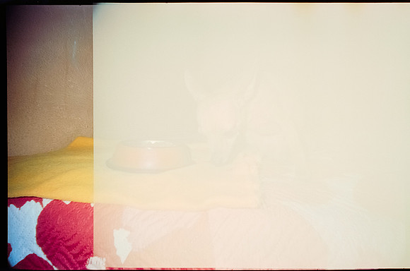 28 Breyner Portillo - Cinestill 800T por Arca Film Lab (Octubre 2026) - Rollo 2315