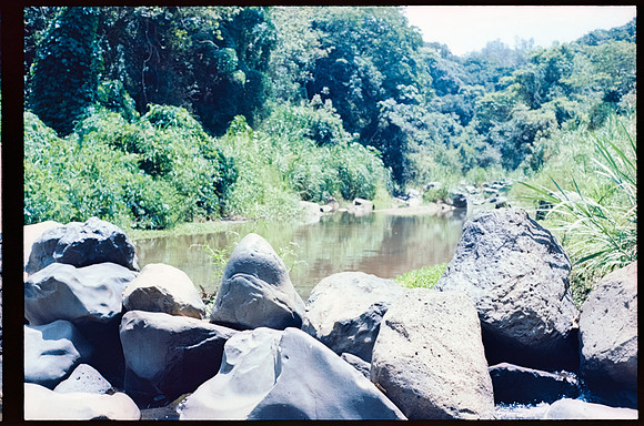 27 Melissa Stormont - Kodak Ektar 100 por Arca Film Lab (Septiembre 2026) - Rollo 2279