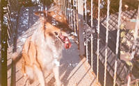 19 Estuardo Pernillo - Photoworks 400 por Arca Film Lab (Diciembre 2024) - Rollo 0544