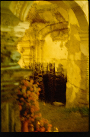 23 Denise Lipman - Kodak Gold 200 por Arca Film Lab (Octubre 2026) - Rollo 2320