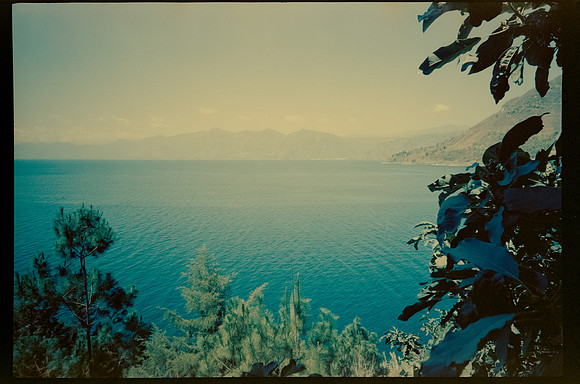 16 Diego Chiu - Candido 200 por Arca Film Lab (Septiembre 2026) - Rollo 2276