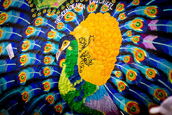 Pavo Real
