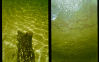 19 Jimmy Barrientos - Kodak Gold 200 por Arca Film Lab (Junio 2025) - Rollo 1141