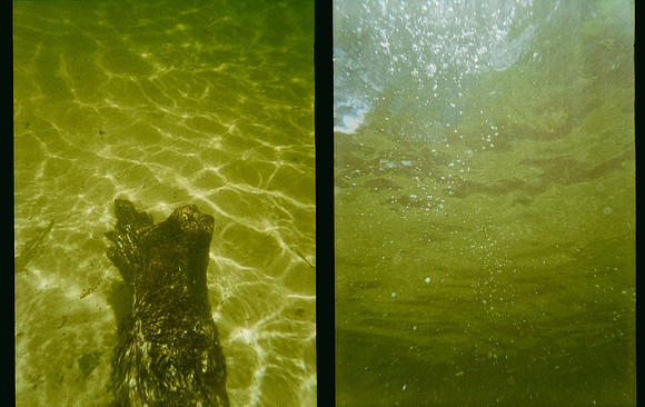 19 Jimmy Barrientos - Kodak Gold 200 por Arca Film Lab (Junio 2025) - Rollo 1141