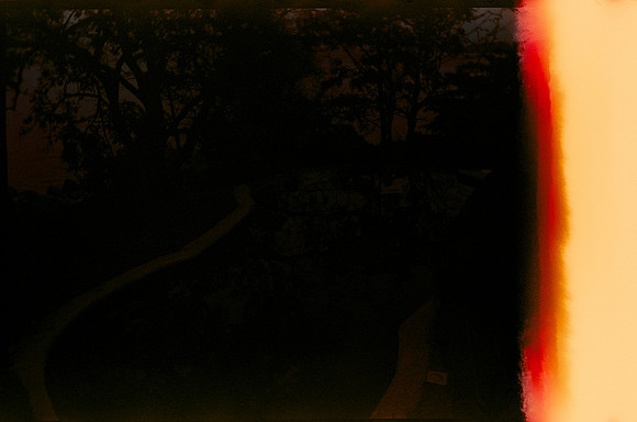 01 Diego Chiu - Candido 200 por Arca Film Lab (Septiembre 2026) - Rollo 2275