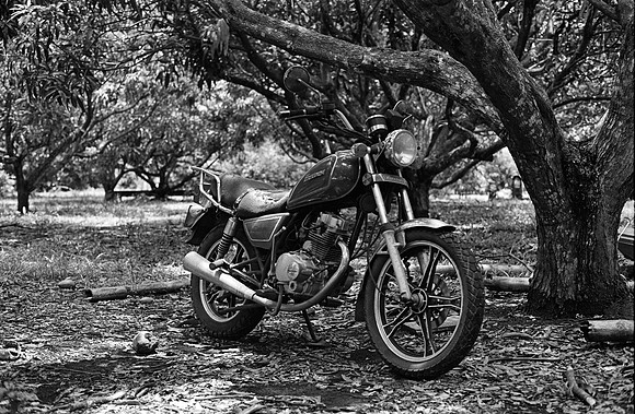 17 Christian Arriola - Kodak 400TX por Arca Film Lab (Junio 2024) - Rollo 0096