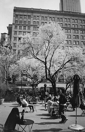 13 Desirée Argueta - Fujifilm Acros 100 por Arca Film Lab (Enero 2025) - Rollo 0571