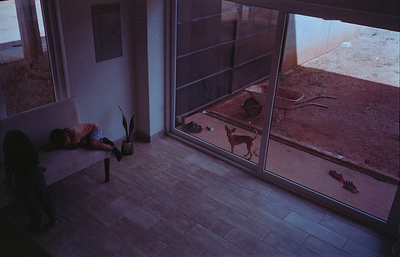 24 Todd Morales - Fujifilm 400 por Arca Film Lab (Agosto 2024) - Rollo 0227