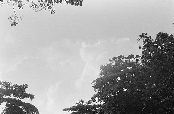 18 Christopher Robles - Ilford HP5+ 400 por Arca Film Lab (Febrero 2025) - Rollo 0680