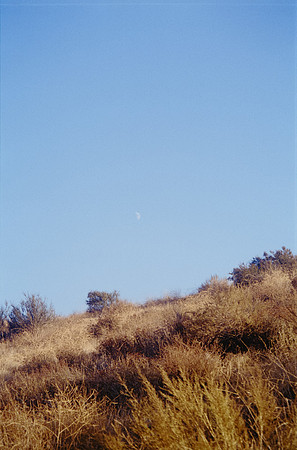 25 Mauricio Salguero - Kodak Gold 200 por Arca Film Lab (Noviembre 2024) - Rollo 0495