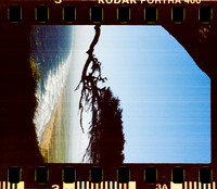 03 Fernanda González - Kodak Portra 400 - Arca Film Lab (Mayo 2024) - Rollo 0052