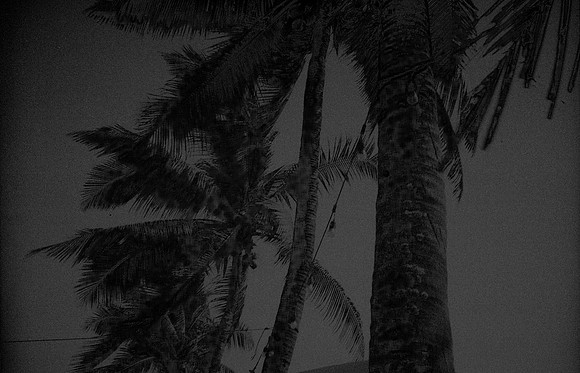 33 Kristel Calderón - Kentmere Pan 400 por Arca Film Lab (Enero 2025) - Rollo 0640