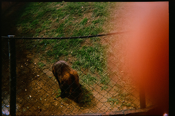 05 Brandon Hernández - Fujifilm 400 por Arca Film Lab (Octubre 2026) - Rollo 2314