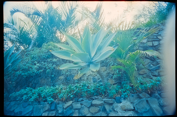 13 Breyner Portillo - Cinestill 800T por Arca Film Lab (Octubre 2026) - Rollo 2315