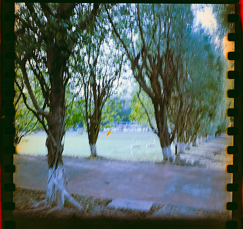 12 Javier Anleu - Kodak Vision 3 200T por Arca Film Lab (Septiembre 2026) - Rollo 2290