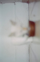 03 Abraham Castillo - Fujifilm 400 por Arca Film Lab (Junio 2025) - Rollo 1118