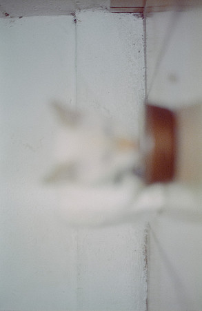 03 Abraham Castillo - Fujifilm 400 por Arca Film Lab (Junio 2025) - Rollo 1118