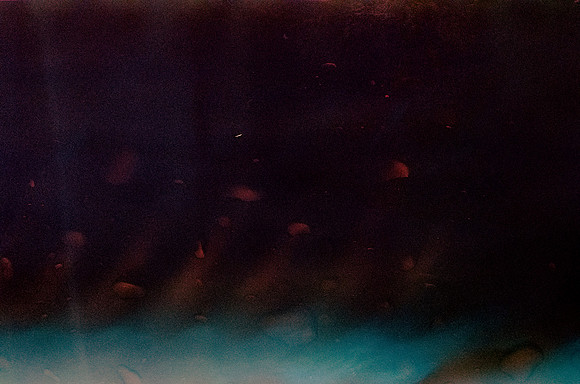 24 2282 Alma Pérez - Agfacolor Vista 100 por Arca Film Lab (Julio 2026) - Rollo 2282