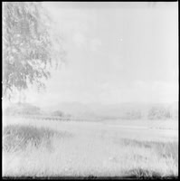 04 Javier Anleu - Aphivot 720nm Infrared por Arca Film Lab (Septiembre 2026) - Rollo 2291