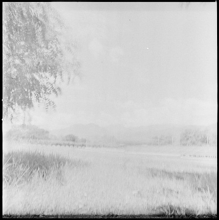 04 Javier Anleu - Aphivot 720nm Infrared por Arca Film Lab (Septiembre 2026) - Rollo 2291