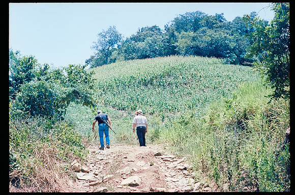 33 Melissa Stormont - Kodak Ektar 100 por Arca Film Lab (Septiembre 2026) - Rollo 2279