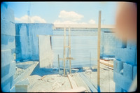 19 Breyner Portillo - Cinestill 800T por Arca Film Lab (Octubre 2026) - Rollo 2315