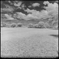 01 Javier Anleu - Aphivot 720nm Infrared por Arca Film Lab (Septiembre 2026) - Rollo 2291