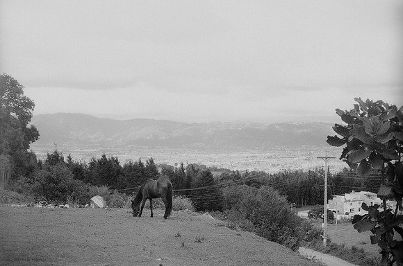01 Rodrigo Bracamonte - Fujifilm Acros 100 por Arca Film Lab (Marzo 2025) - Rollo 0789