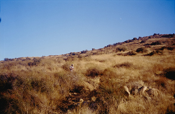 27 Mauricio Salguero - Kodak Gold 200 por Arca Film Lab (Noviembre 2024) - Rollo 0495
