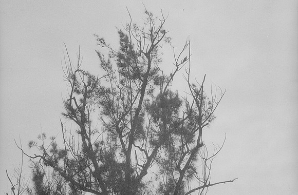 39 Kristel Calderón - Kentmere Pan 400 por Arca Film Lab (Enero 2025) - Rollo 0640
