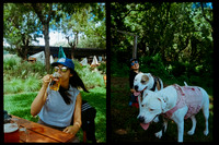 33 Cynthia Fion - Fujifilm 400 - Arca Film Lab (Octubr 2026) - Rollo 2316