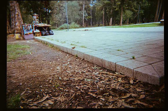 21 Marcela Grajeda - Fujifilm 400 por Arca Film Lab (Octubre 2026) - Rollo 2296