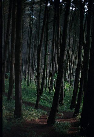 28 Kodak Ultramax 400 por Fabriccio Díaz - Junio 2023