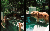 12 María Andrea Santa Cruz - Kodak Aerocolor IV por Arca Film Lab (Abril 2025) - Rollo 0986
